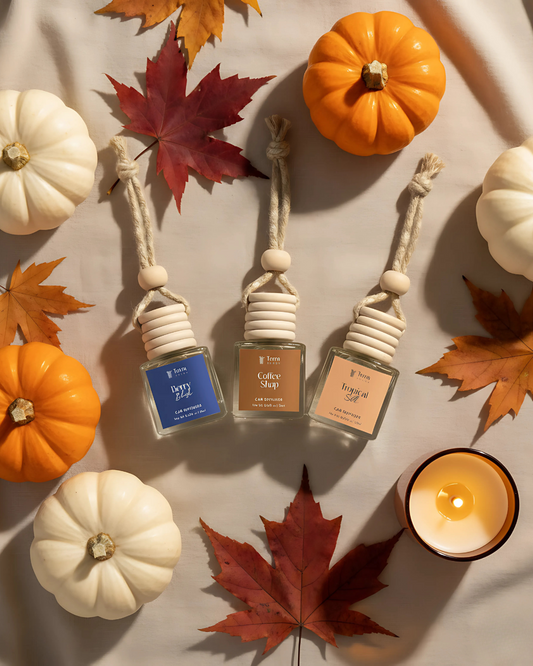 Best Car Fragrances in India for a Luxe Drive