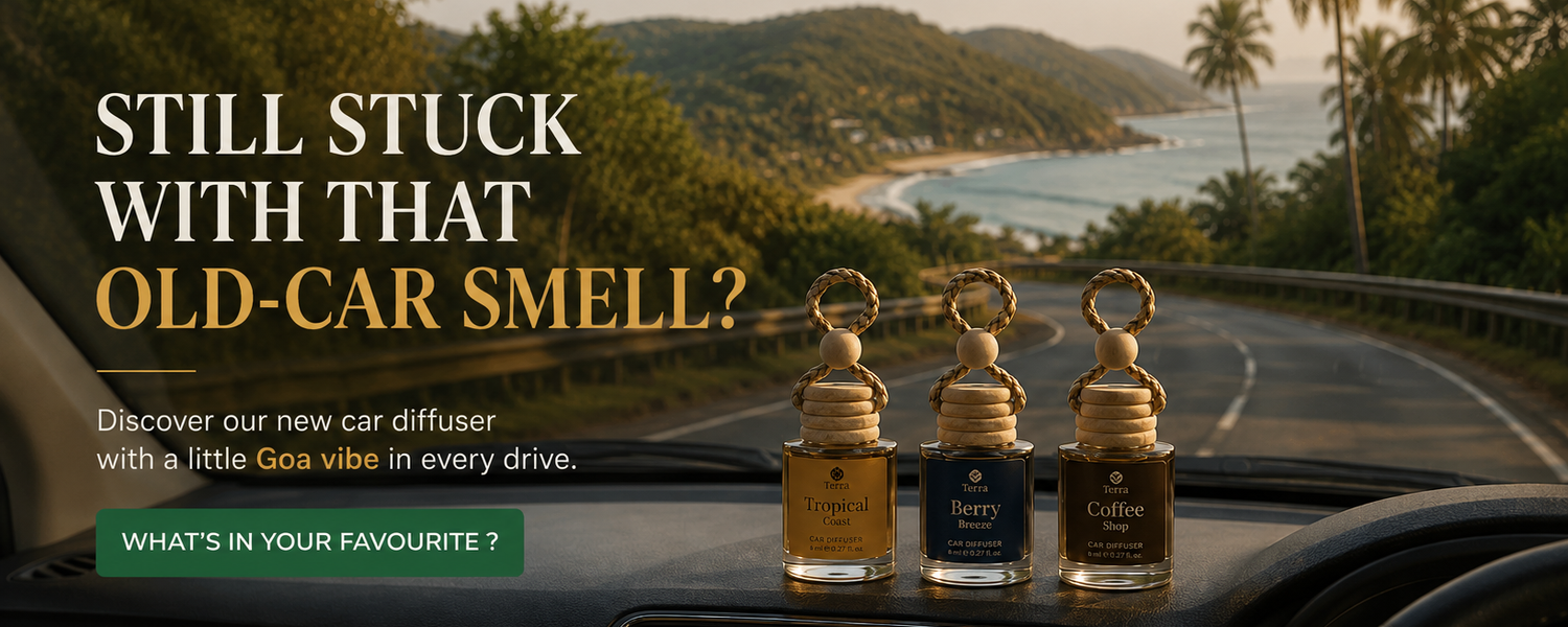 Car Diffuser