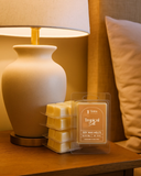 Tropical Silk Wax Melts
